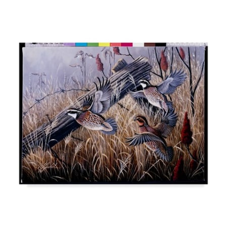 TRADEMARK FINE ART Wilhelm Goebel 'Corner Post Covey Bobwhite' Canvas Art, 24x32 ALI33765-C2432GG